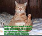 https://lolkot.ru/2014/12/09/mudrets/