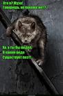https://lolkot.ru/2017/04/26/muzhas/
