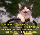 https://lolkot.ru/2012/07/15/muzhiki-vdol-trassy/