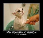https://lolkot.ru/2011/06/30/my-prishli-s-mylom/