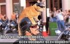 https://lolkot.ru/2012/09/12/my/