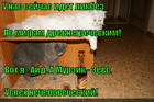 https://lolkot.ru/2015/04/22/myafy-drevney-gretsii/
