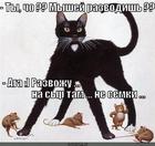 https://lolkot.ru/2012/03/23/myshey-razvodish/