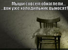 https://lolkot.ru/2011/03/26/myshi-sovsem-obnagleli/