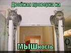 https://lolkot.ru/2015/01/06/myshnost/