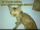 https://lolkot.ru/2015/04/28/mytiye-moye-2/