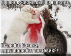 https://lolkot.ru/2013/06/09/na-bezrybe-i-snegovichok-muzhichok/