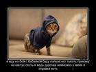 https://lolkot.ru/2012/10/27/na-boy-s-babaykoy/