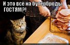 https://lolkot.ru/2012/03/28/na-buterbrody-gostyam/