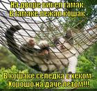 https://lolkot.ru/2013/05/26/na-dvore-gamak-v-gamake-koshak/