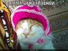 https://lolkot.ru/2011/05/12/na-glavnoy/