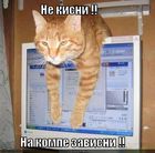 https://lolkot.ru/2012/03/30/na-kompe-zavisni/