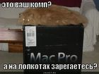 https://lolkot.ru/2011/04/20/na-lolkotah-zaregayetes/