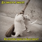 https://lolkot.ru/2011/12/14/na-metle-bystreye/