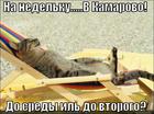 https://lolkot.ru/2011/06/18/na-nedelku/