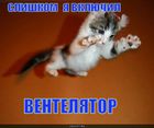 https://lolkot.ru/2010/06/10/na-potoke-vozduha/