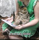 https://lolkot.ru/2013/09/10/na-pravo/