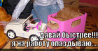 https://lolkot.ru/2010/10/19/na-rabotu-opazdyvayu/