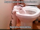 https://lolkot.ru/2012/03/15/na-rybalke/