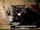 https://lolkot.ru/2012/08/10/na-serdtse-radost/