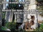 https://lolkot.ru/2012/09/06/na-spinu-plyunul/
