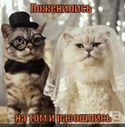 https://lolkot.ru/2011/12/14/na-tom-i-razoshlis/