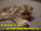 https://lolkot.ru/2016/04/02/na-vsyakiy-sluchay/
