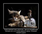 https://lolkot.ru/2011/12/20/nachinayet-govorit-dusha/