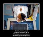 https://lolkot.ru/2017/05/24/nachinayuschaya-programmistka/