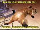 https://lolkot.ru/2012/04/30/nado-poprobovat-vsyo/