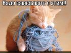 https://lolkot.ru/2011/02/28/nado-zavyazyvat-2/