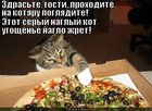 https://lolkot.ru/2012/08/22/naglyy-kot/