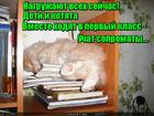 https://lolkot.ru/2015/12/20/nagruzili-ne-po-detski/
