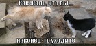 https://lolkot.ru/2012/03/23/nakonets-to-uhodite/