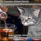 https://lolkot.ru/2012/12/13/nalivay-bokal/