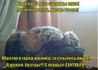 https://lolkot.ru/2014/09/01/nam-by-iyul-prostoyat-da-avgust-proderzhatsya/