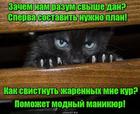 https://lolkot.ru/2017/04/01/namanikurilsya/