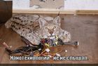 https://lolkot.ru/2012/02/14/nanotehnologii/