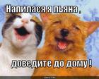 https://lolkot.ru/2012/07/31/napilasya-ya-pyana-2/