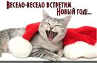 https://lolkot.ru/2012/11/20/narod-go-to-vs/