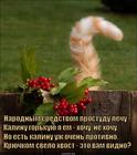 https://lolkot.ru/2014/12/26/narodnyye-sredstva/