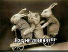 https://lolkot.ru/2011/06/06/nas-ne-dogonyat-2/
