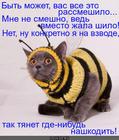 https://lolkot.ru/2013/11/05/nashkodit-kak-dva-poltsa-obmyodit/
