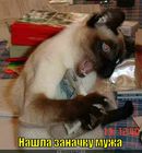 https://lolkot.ru/2012/01/06/nashla-zanachku-muzha/