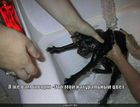 https://lolkot.ru/2010/09/17/naturalnyy-tsvet/