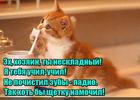 https://lolkot.ru/2016/08/05/nauka-ne-vprok/