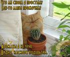 https://lolkot.ru/2015/11/05/ne-boley/