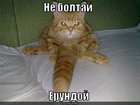 https://lolkot.ru/2012/03/22/ne-boltay-yerundoy/