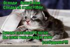 https://lolkot.ru/2015/06/26/ne-budit-po-pustyakam/