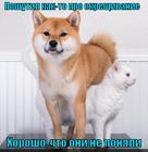 https://lolkot.ru/2014/05/17/ne-gennaya-inzheneriya/